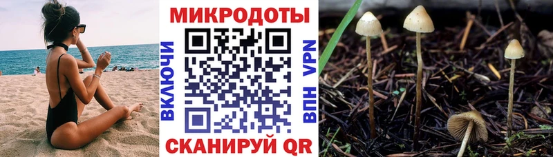 купить наркоту Рошаль мега ссылка Галлюциногенные грибы MAGIC MUSHROOMS